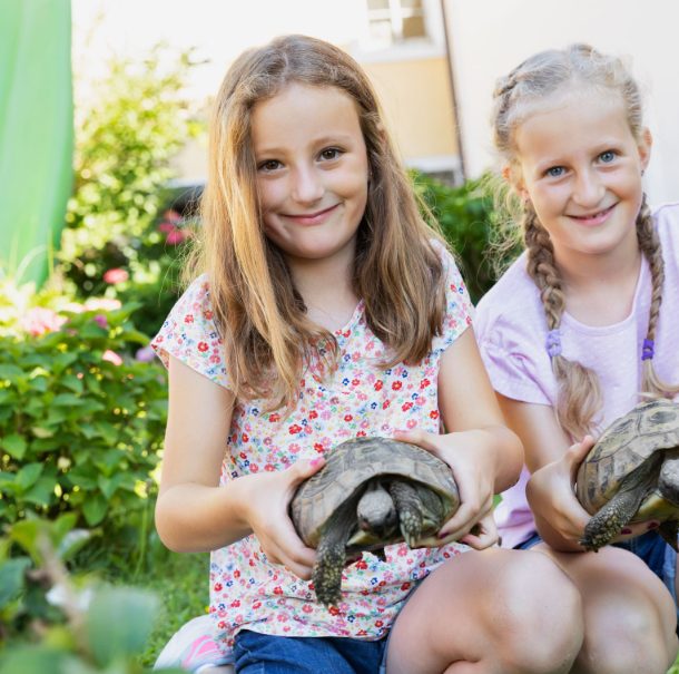 2 Mädchen halten 2 Schildkröten