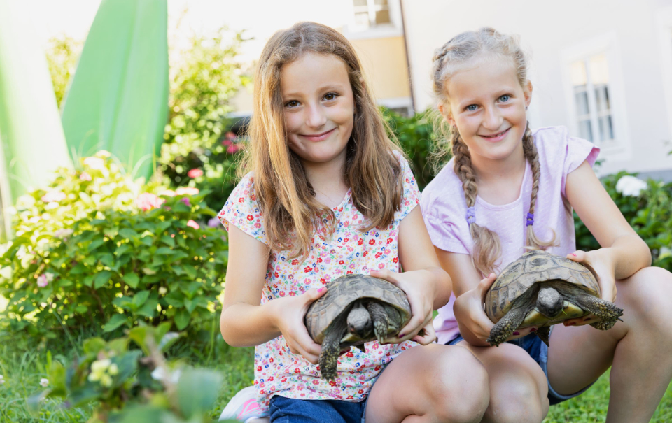 2 Mädchen halten 2 Schildkröten