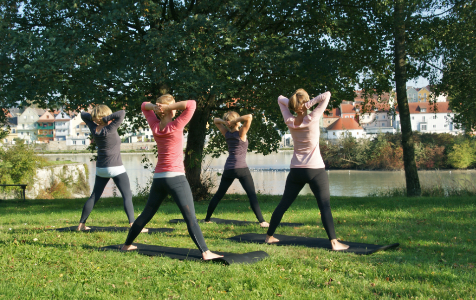 Gruppe von Frauen macht Yoga unter einem Baum